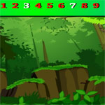 بازی انلاین پیدا کردن اعداد در جنگل