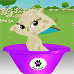 بازی شستن گربه